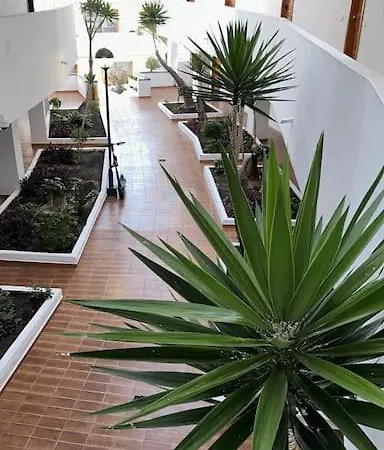 公寓 Modern,strandnaehe, Club Olympus, Garten Tenerife Playa Feñabe