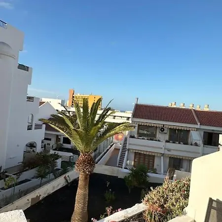 Modern,strandnaehe, Club Olympus, Garten Tenerife